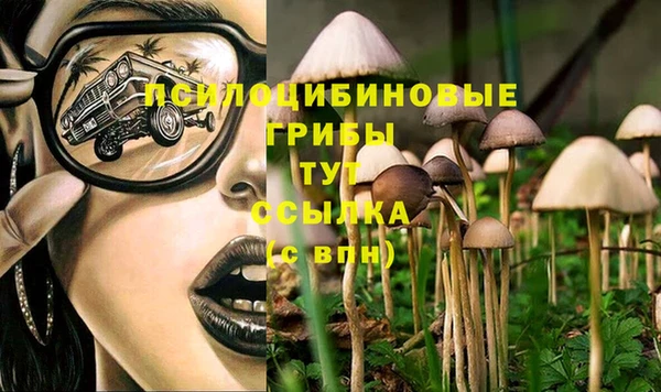герыч Абаза