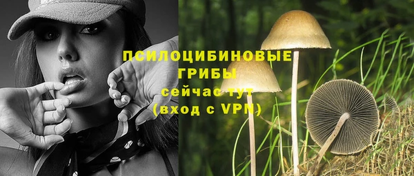 ешки Абдулино