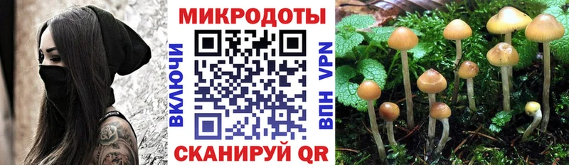 Галлюциногенные грибы Magic Shrooms  что такое   ОМГ ОМГ tor  Торжок 